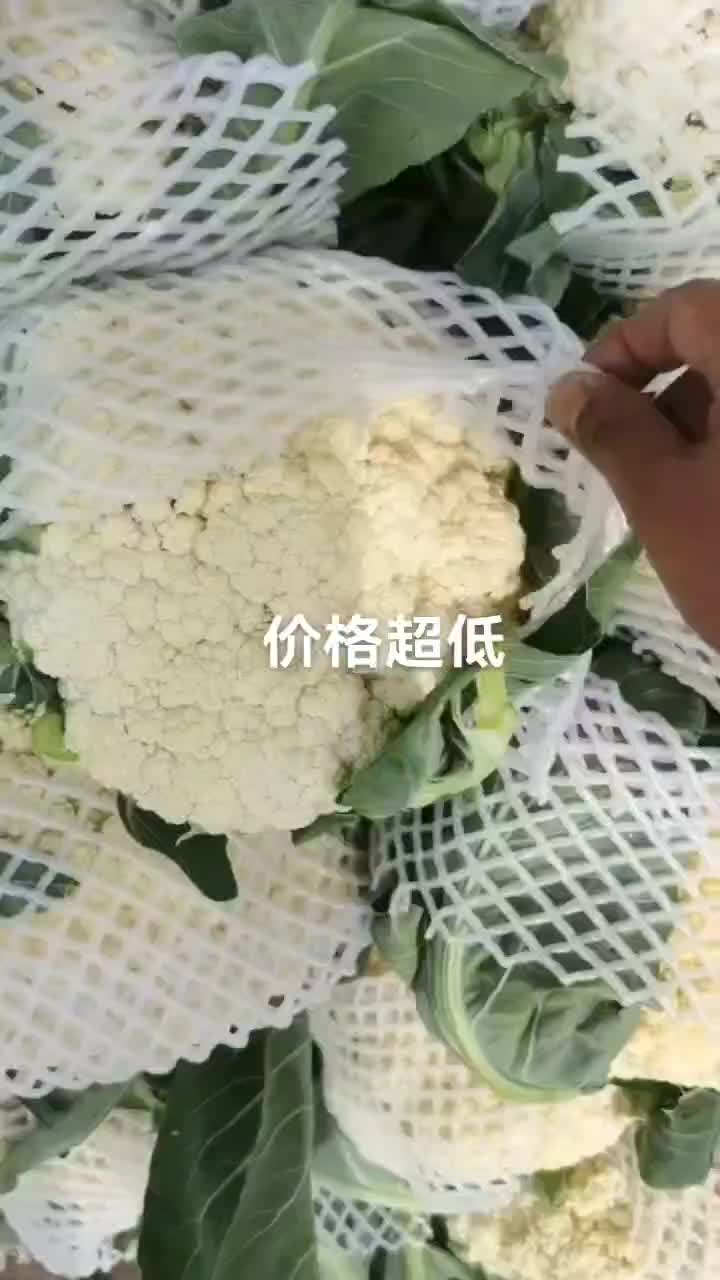 菜花