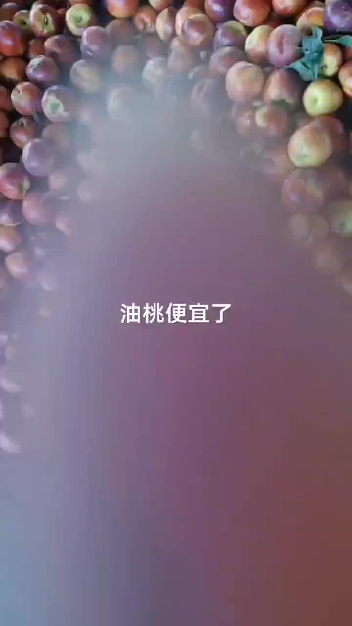 全部的桃子月底开始全有货