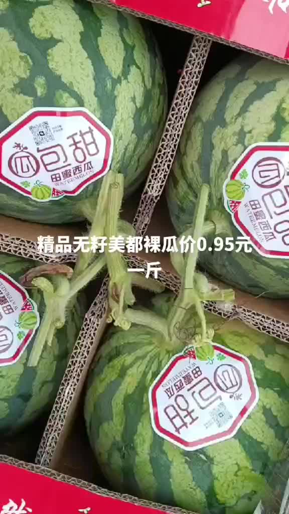 江苏精品无籽美都西瓜