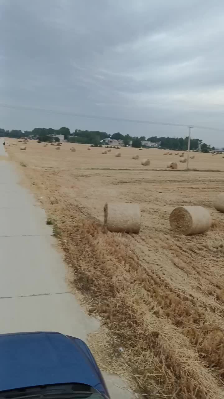 麦草，粉碎过筛五道绳