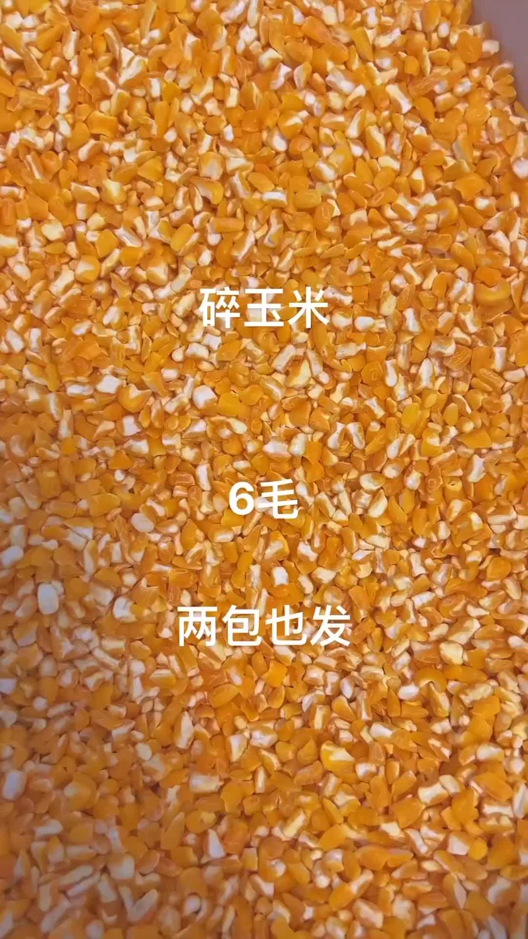 精品碎玉米，价格便宜，喜欢的朋友就来