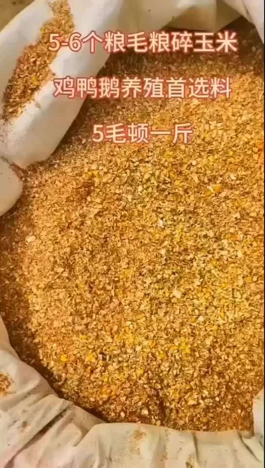 精品碎玉米，价格便宜，喜欢的朋友就来