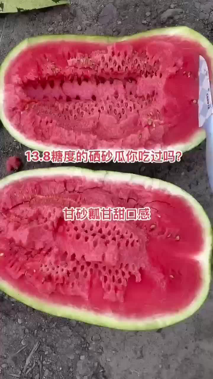 高品质硒砂瓜