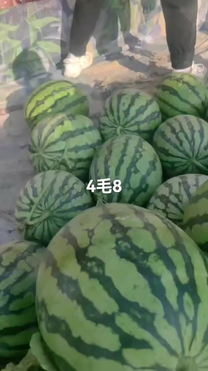 产地大量供应