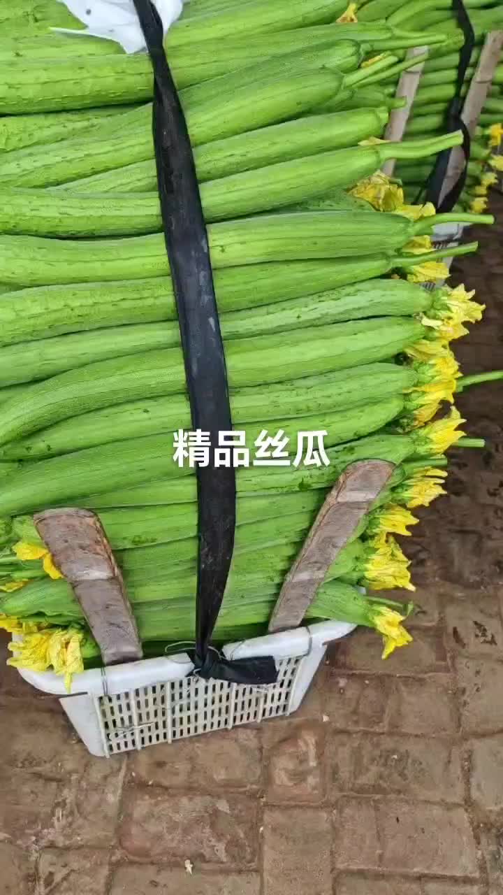 鲜花丝瓜