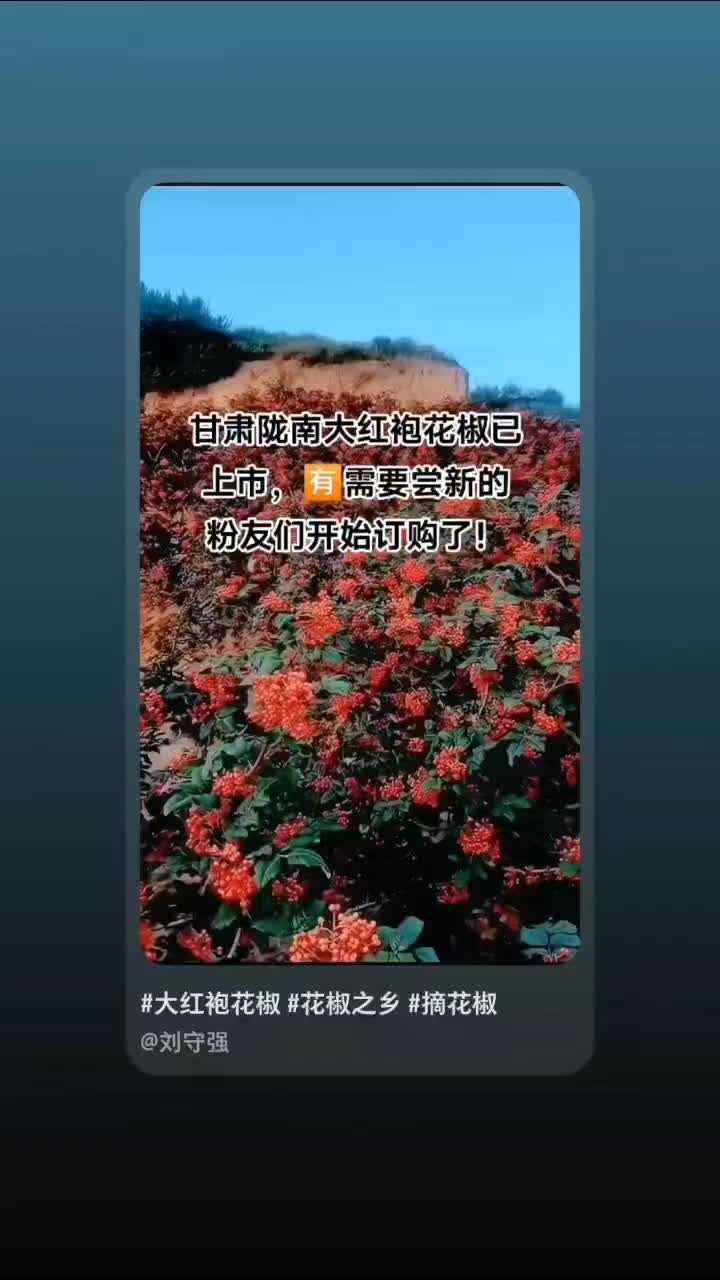 大红袍花椒