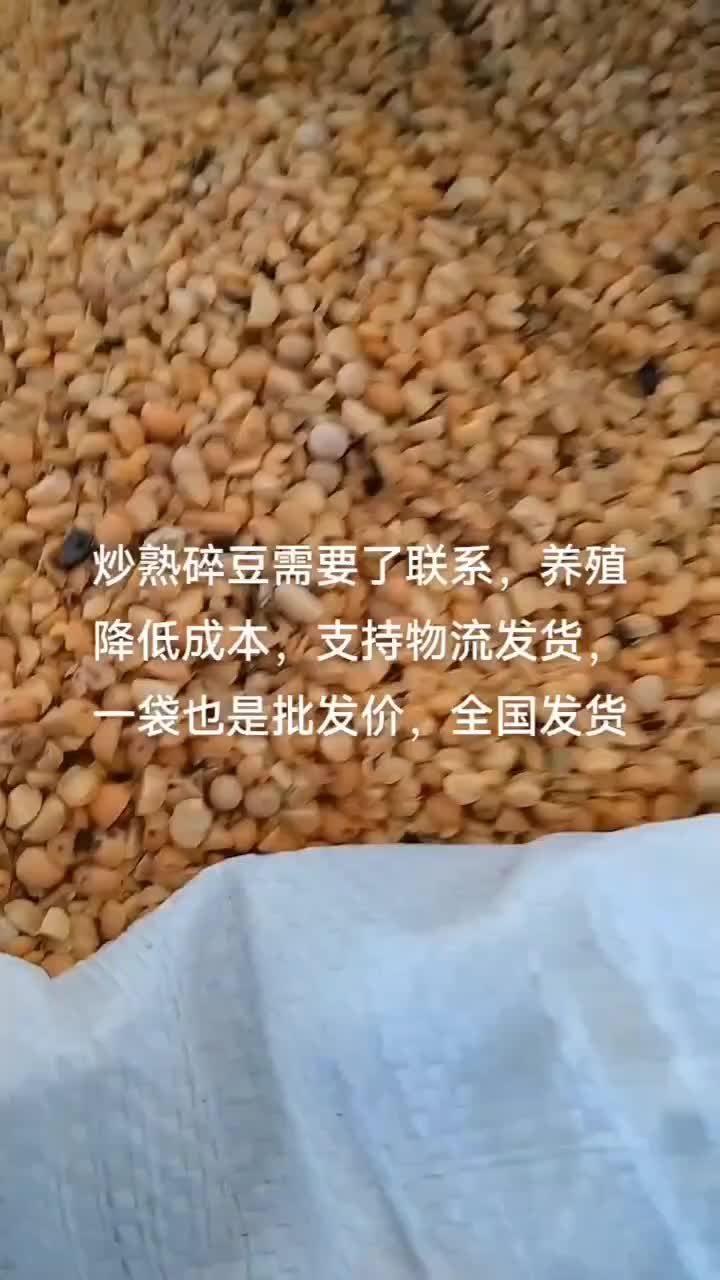 饲料豆