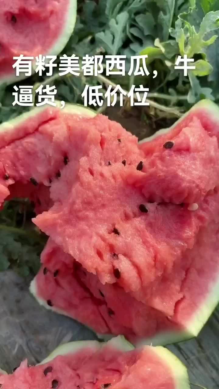 美都西瓜