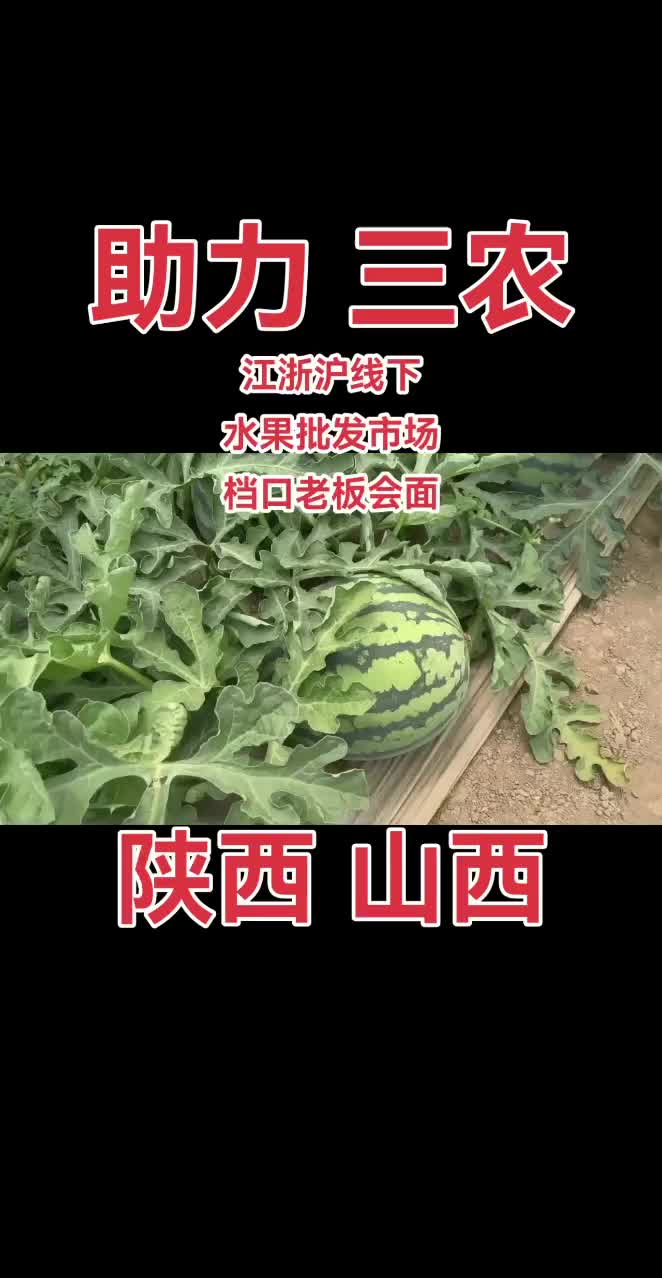 无籽美都台农种植精品西瓜产地直销助力三农