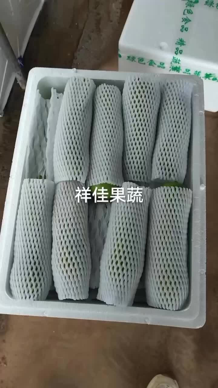 精品瓠子，大量有货，产地直发，货源充足