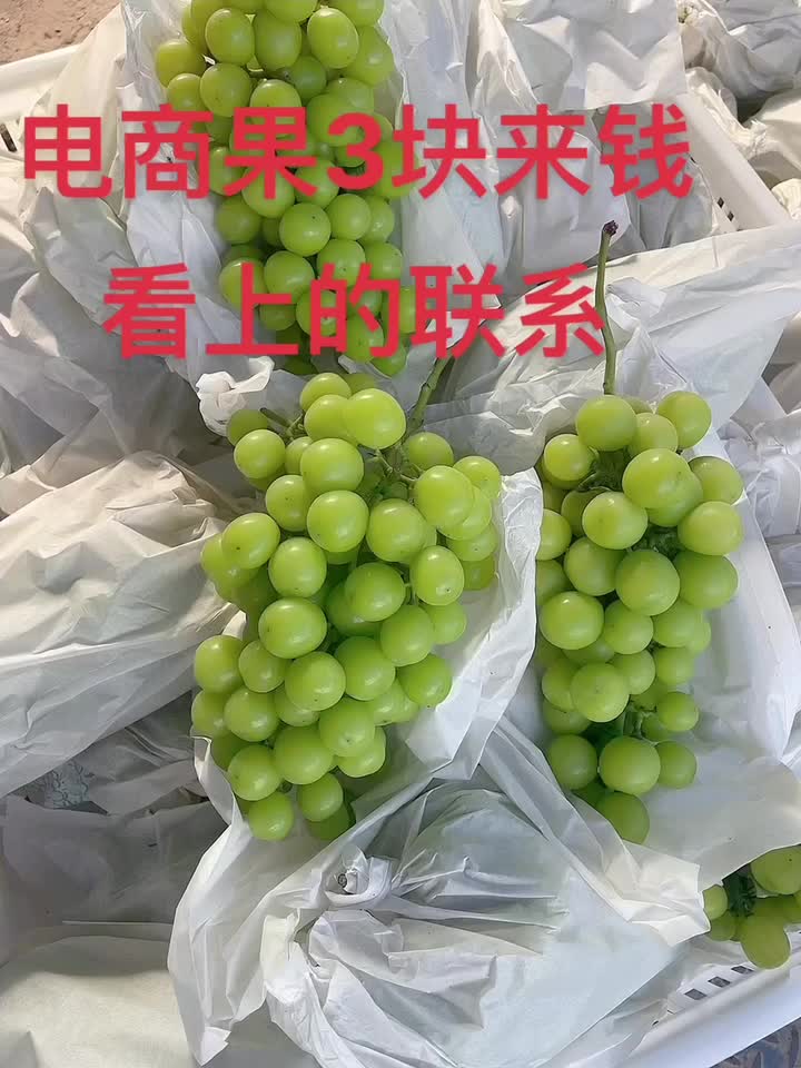 阳光玫瑰葡萄