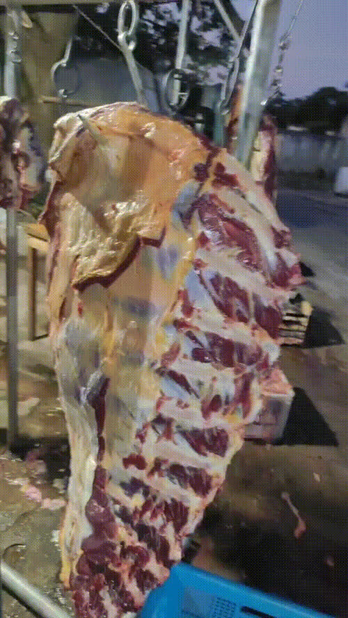 牛下水牛肉