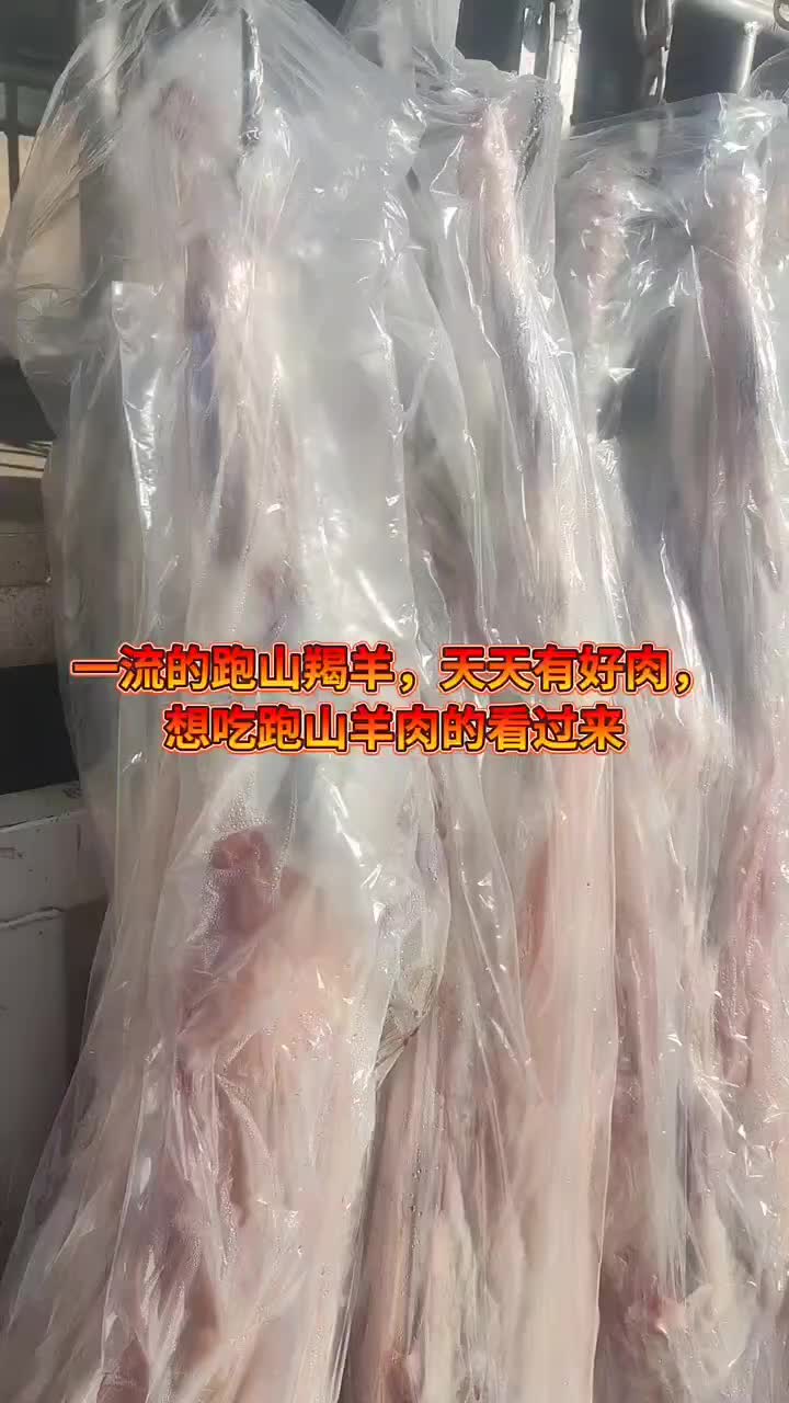 定边县白玉山区（山羊肉）