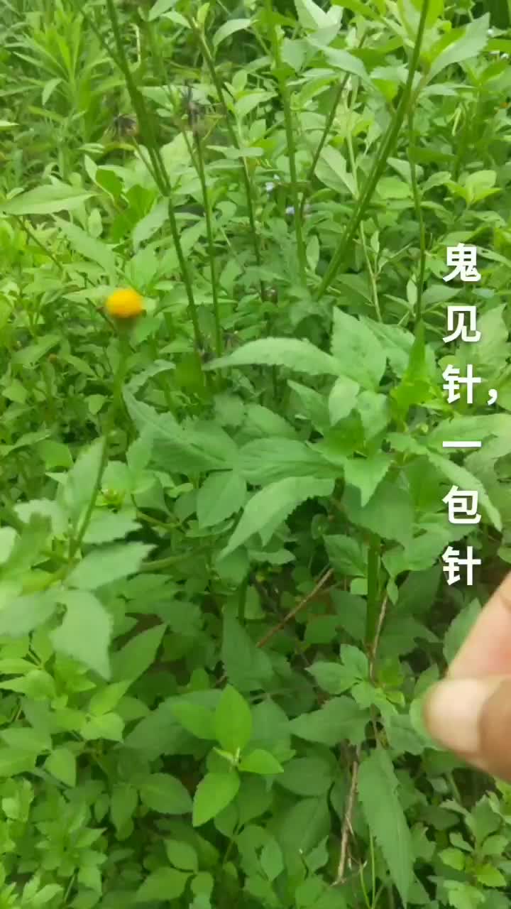 当前位置: