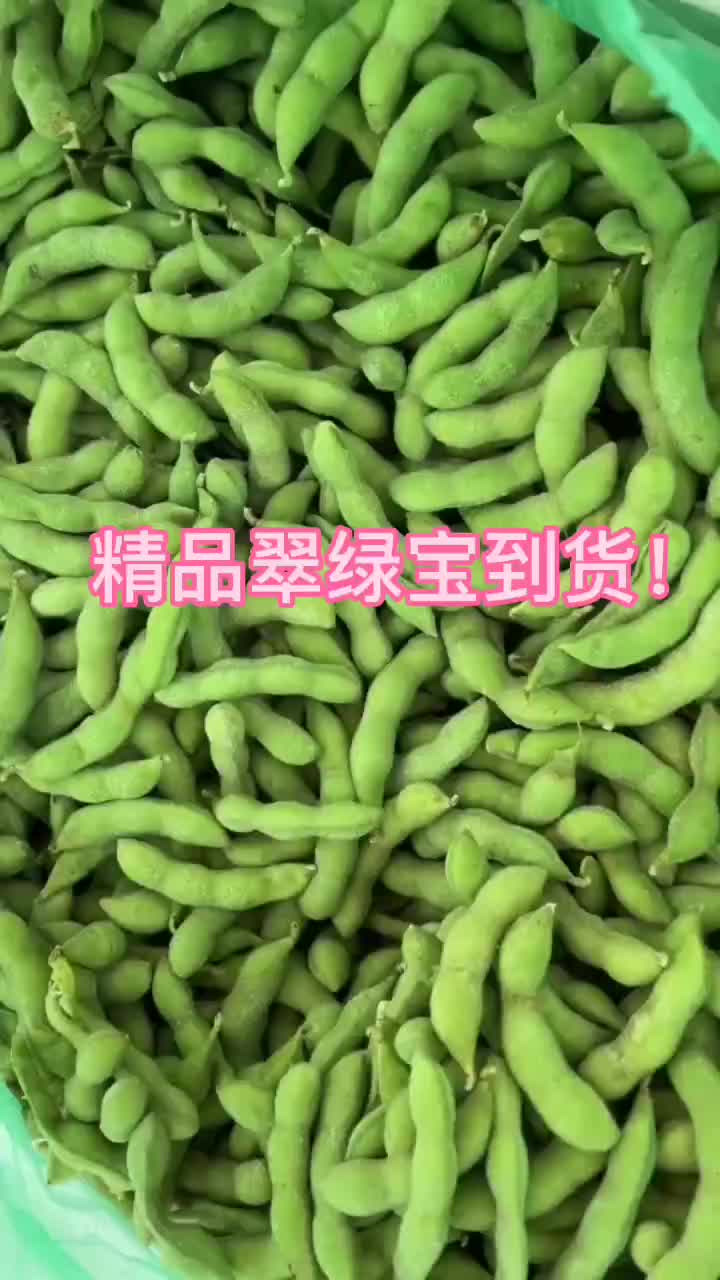 沧州毛豆价格行情走势 