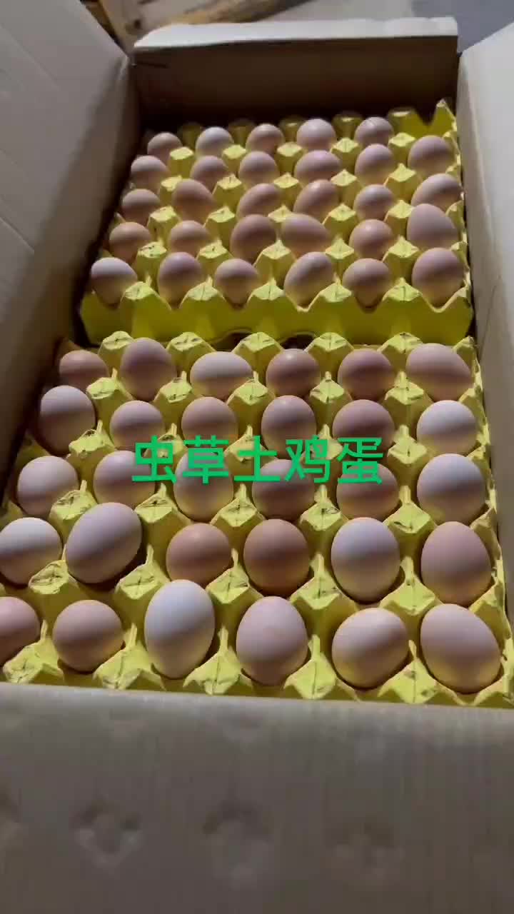 无抗养殖保质保量货源稳定长期供应精品鸡蛋土鸡蛋粉壳白壳绿壳红壳