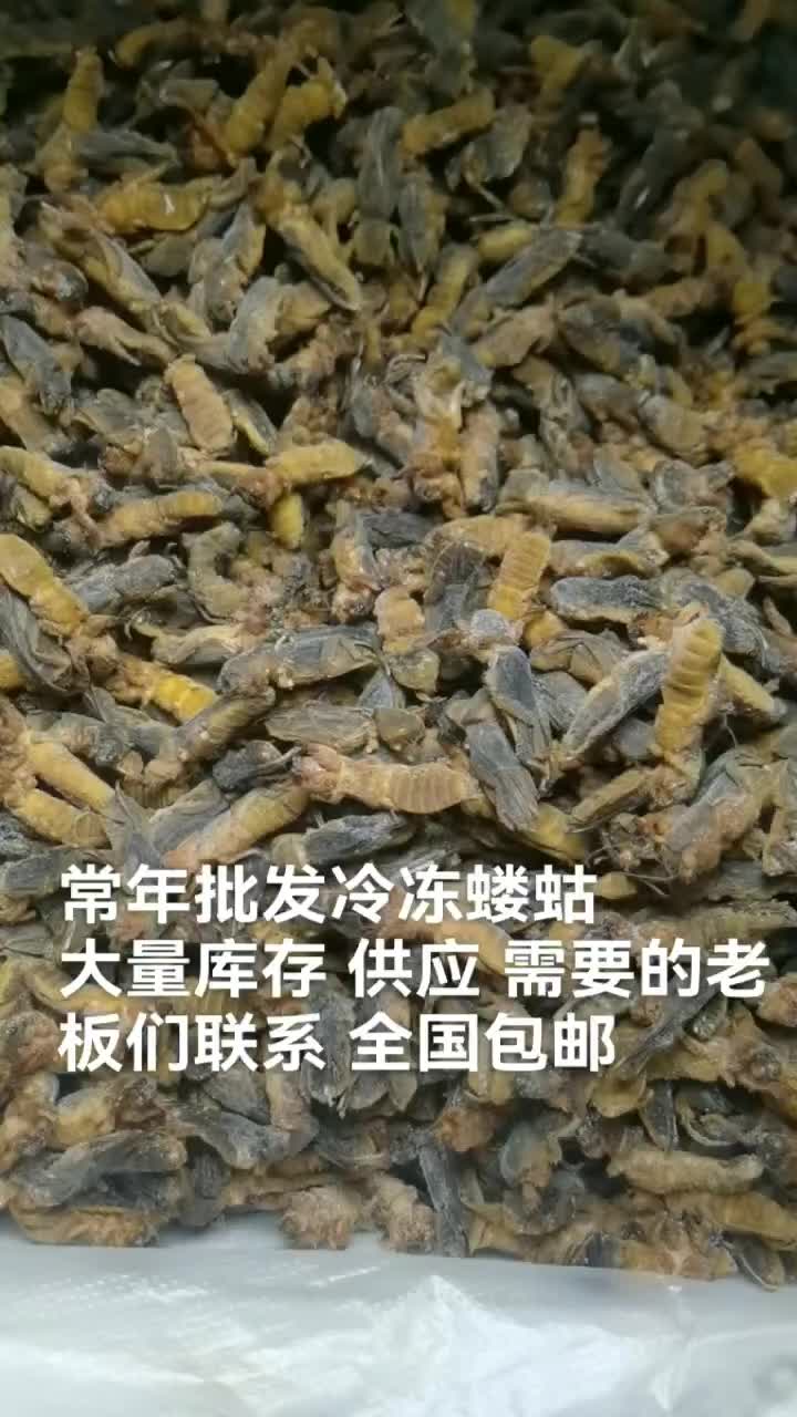 蝲蝲蛄价格图片